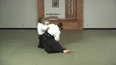Aikido to BJJ DVD with Derek Nakagawa & Marcio Feitosa