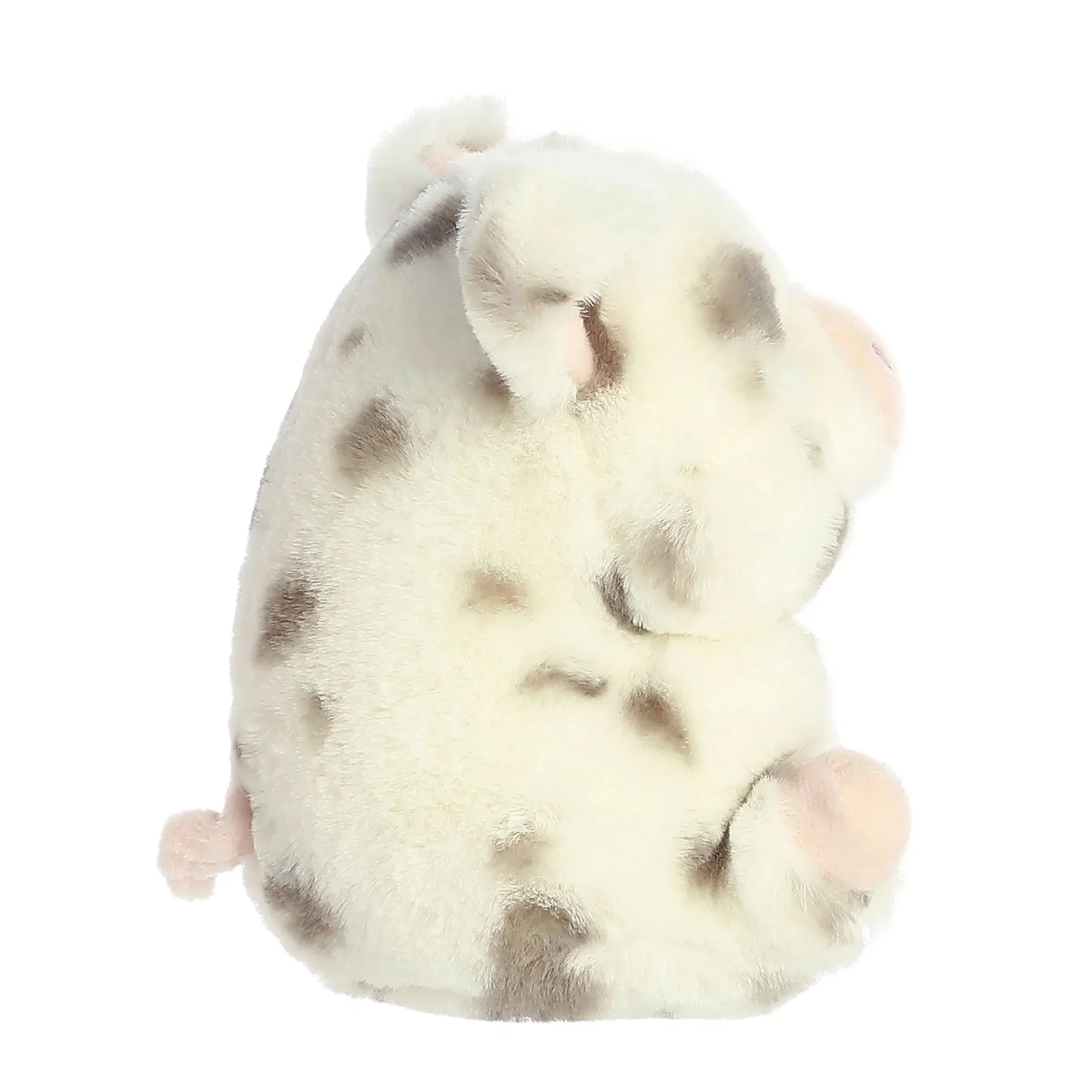 Aurora - Rolly Pet - Periwinkle Pig