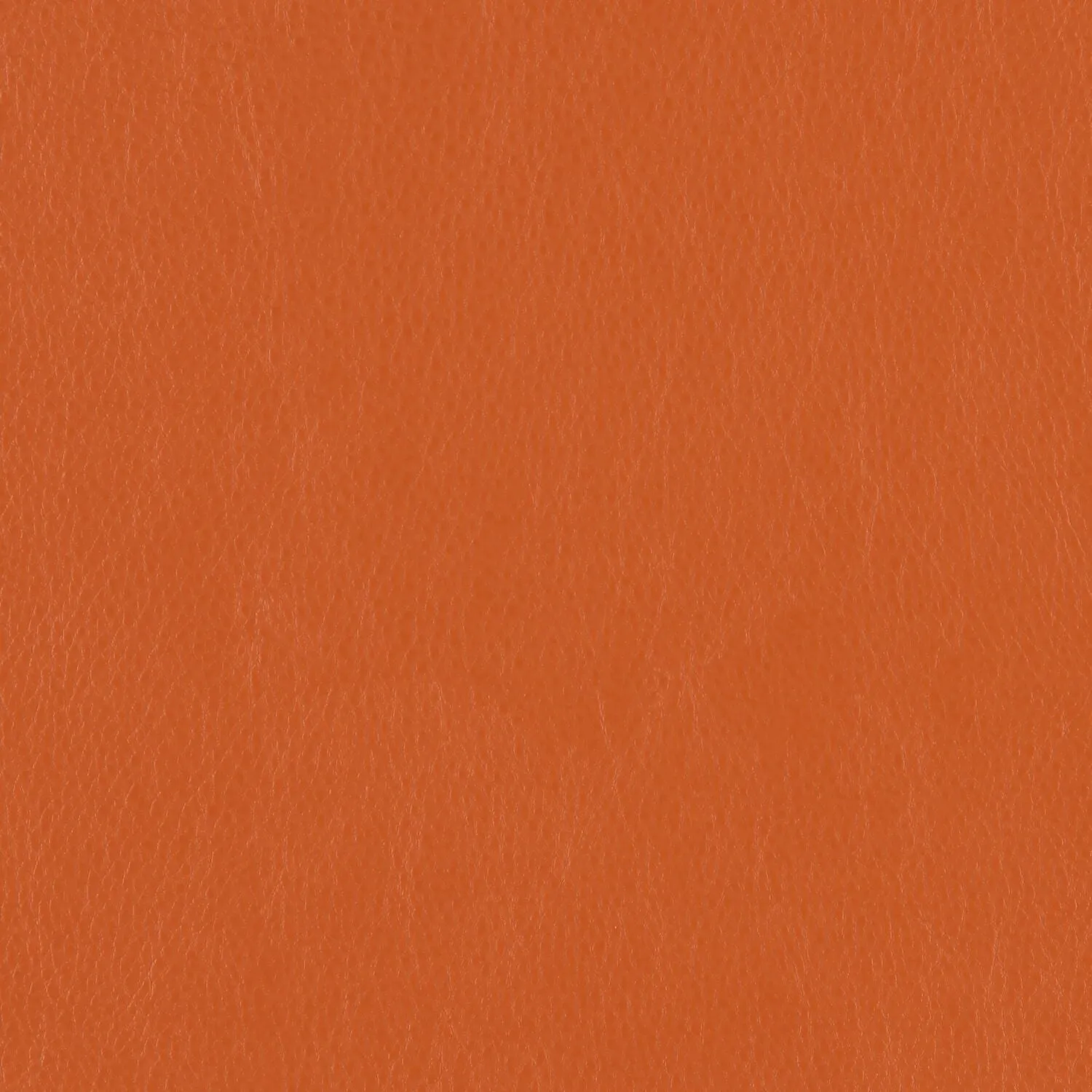 Decoy - Cahoots - 4087 - 23 - Half Yard