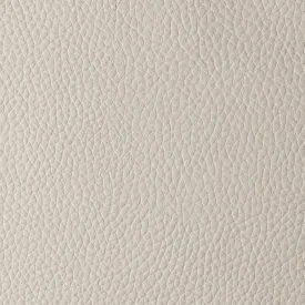 Fabric Sample - Faux Leather Oatmeal