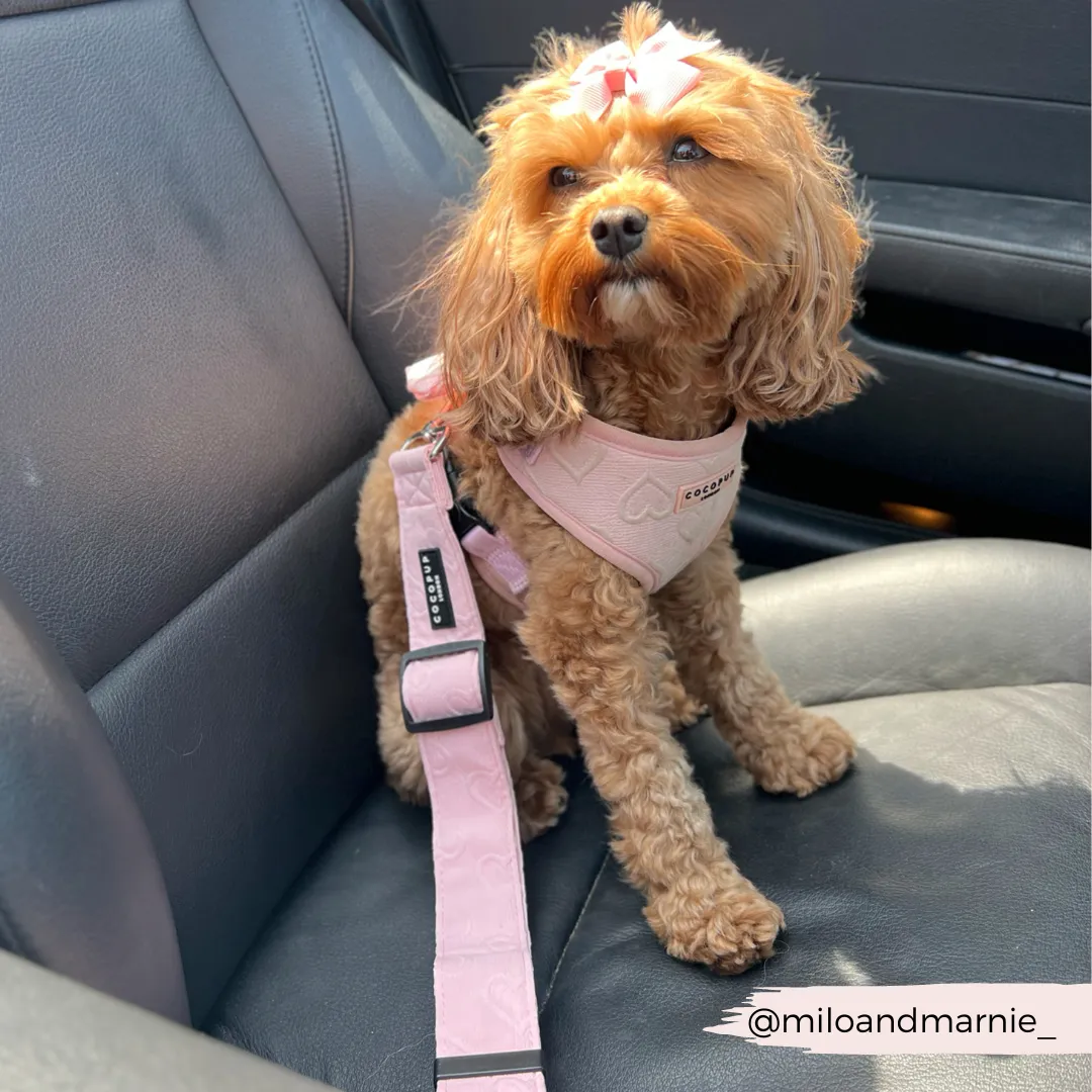 Seat Belt Restraint - Pink Heart