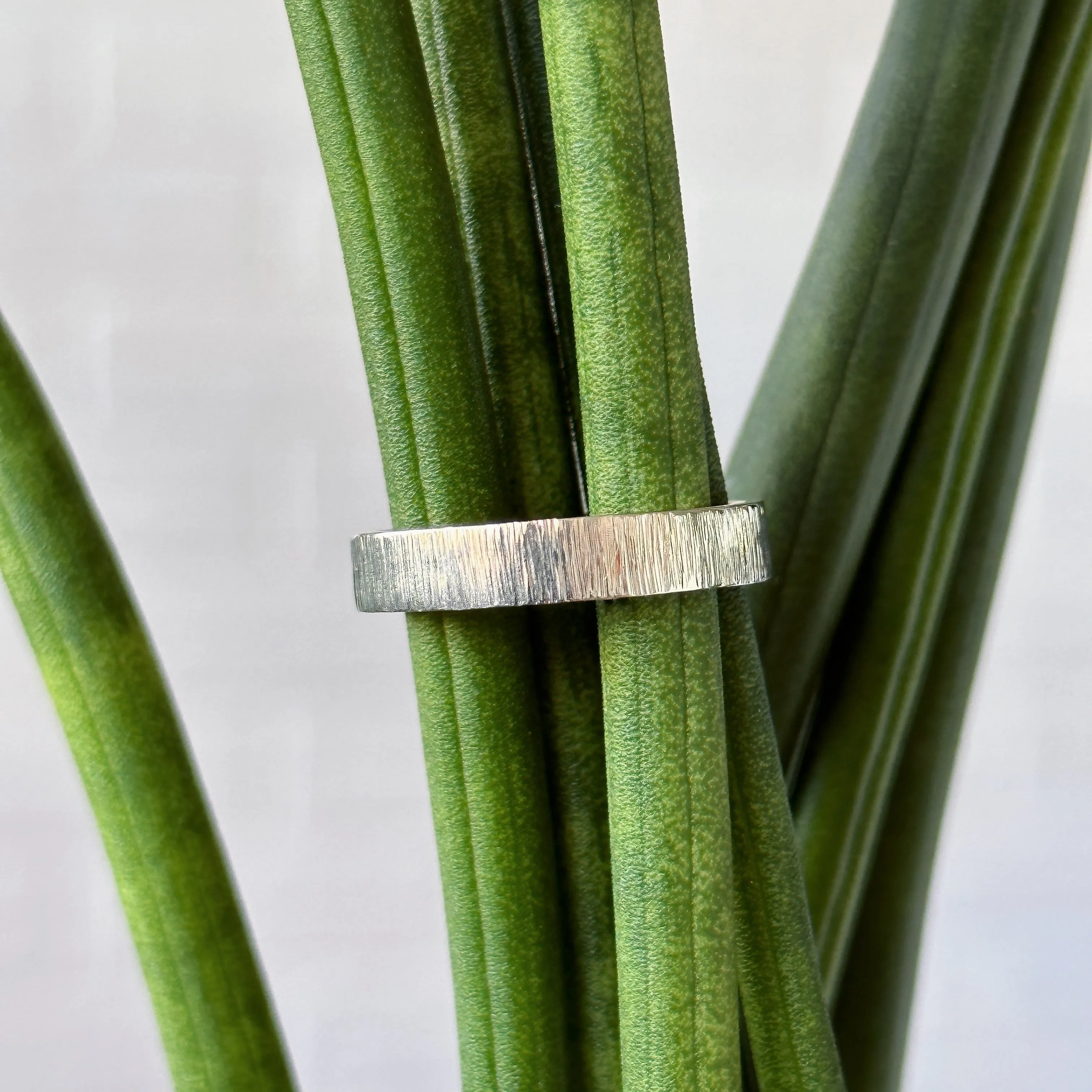 Zion Flat Wide Band