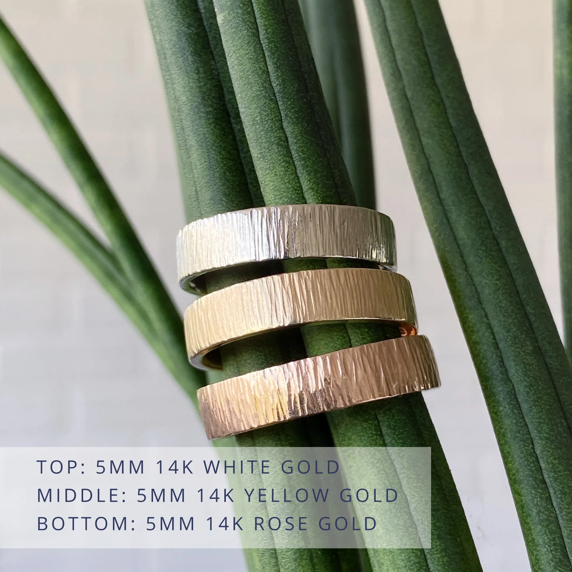 Zion Flat Wide Band