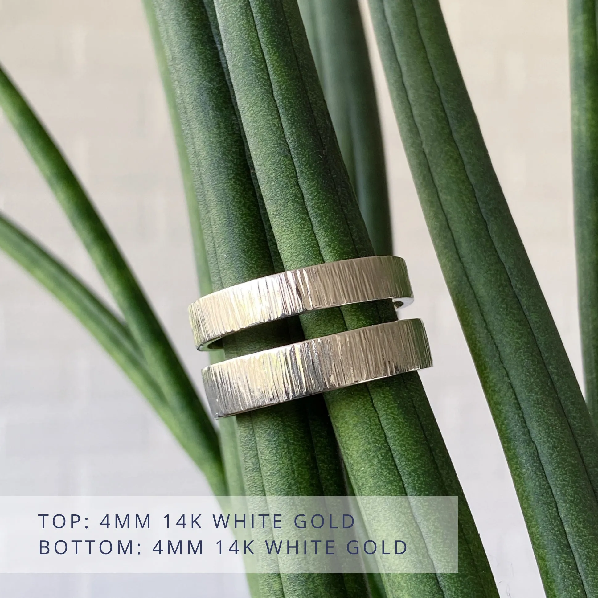 Zion Flat Wide Band